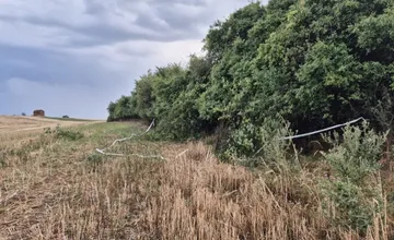 Hrozivý nález v Banskej Bystrici: Psíčkar v kríkoch našiel ľudské pozostatky, polícia začala trestné stíhanie