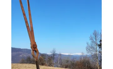 FOTO: Hľadáte tip na výlet? Na kopci v regióne Malohont objavíte rekordný úkaz, ktorý uvidíte už z diaľky