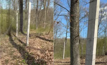 VIDEO: Chov zveri na Rytierovom dvore narušil incident s poškodeným plotom, majitelia hovoria o škodách v tisícoch eur