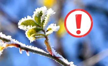 Banskobystrický kraj v nedeľu ráno zasiahne mráz, ohrozí nižšie rastliny. Vyhne sa mu len jeden okres