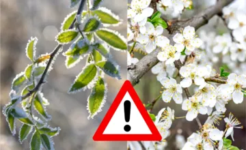 Koniec apríla prinesie výrazné ochladenie, teploty v Banskobystrickom kraji môžu klesnúť až na -7 °C