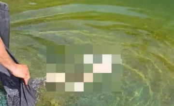 VIDEO: Kúpele Sliač majú nového obyvateľa jazierka, meno môžete vybrať aj vy, niektoré návrhy vás pobavia