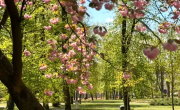 FOTO: Park na Tajovského čaká výrazná premena. Mesto plánuje stovky nových stromov
