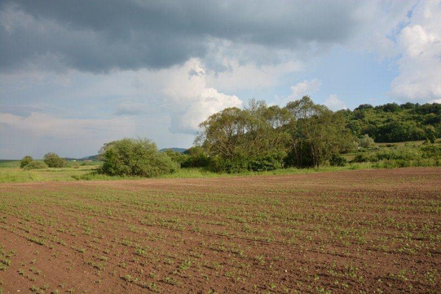 Našli telo neznámeho muža, ktorý mal oblečenú túto bundu, ak poznáte jej majiteľa volajte políciu, foto 3