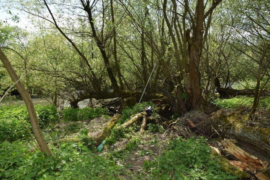 V obci Budča objavili telo neznámej ženy, pravdepodobne sa utopila v rieke, foto 1