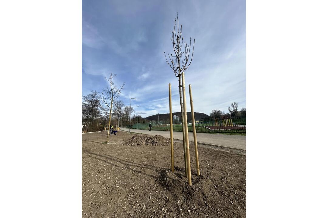 FOTO: Oddychová zóna v Banskej Bystrici, foto 3