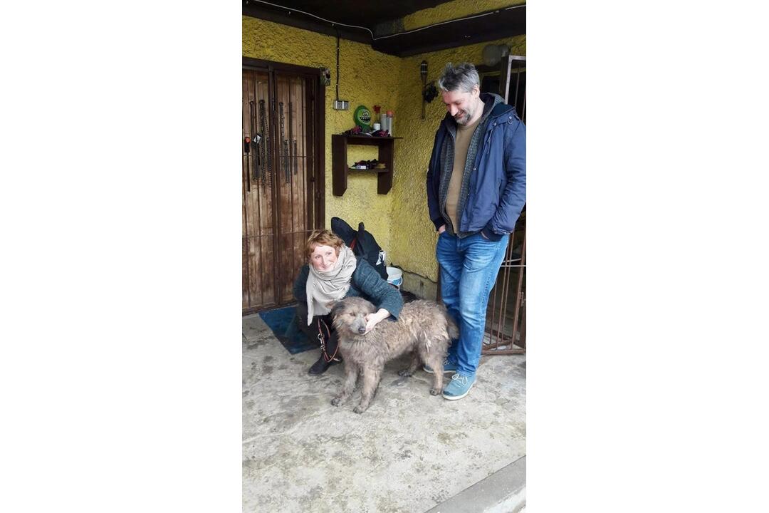 FOTO: V českom filme sa objavil psík zo zvolenského útulku, foto 2
