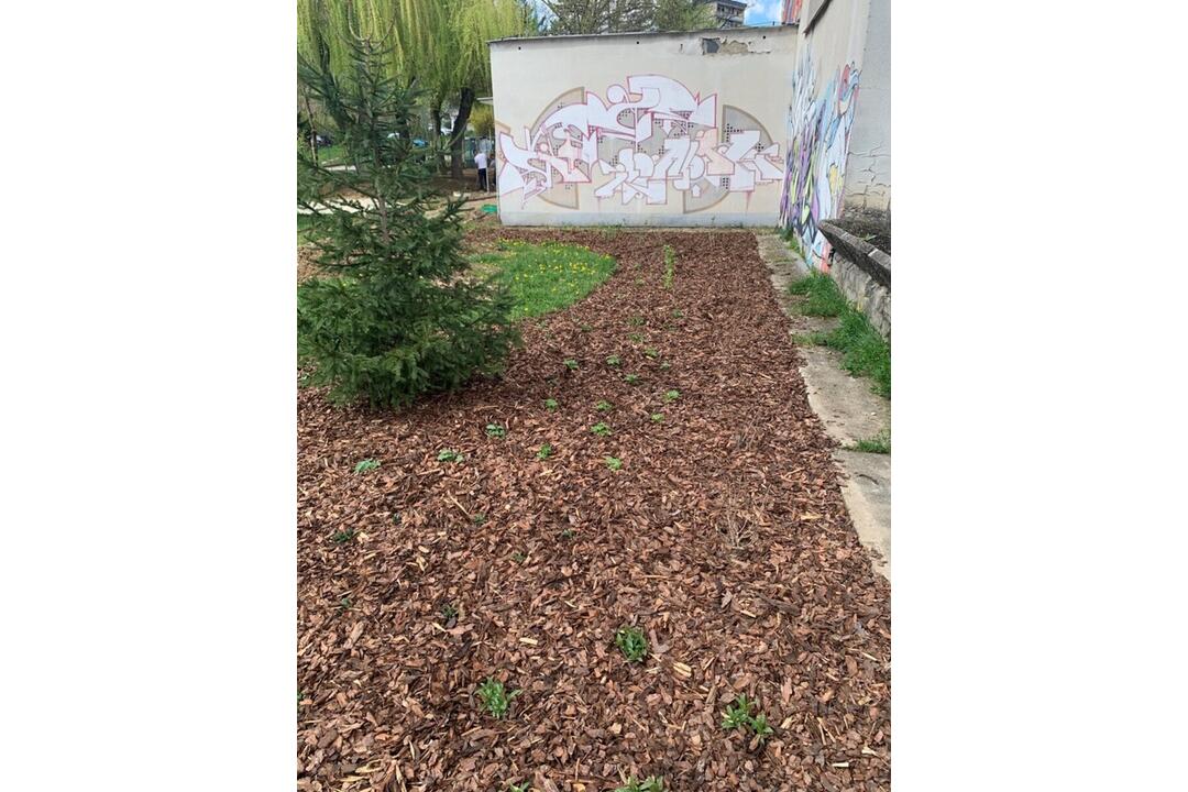 FOTO: Banská Bystrica skrášlila areály viacerých škôlok, foto 6