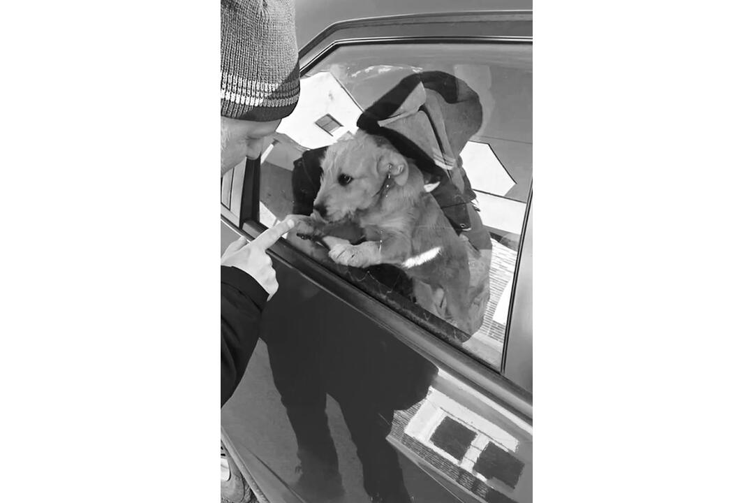 FOTO: Nečakaná smrť Andreja, ktorý pomáhal zvieratám vo Fiľakove, foto 4