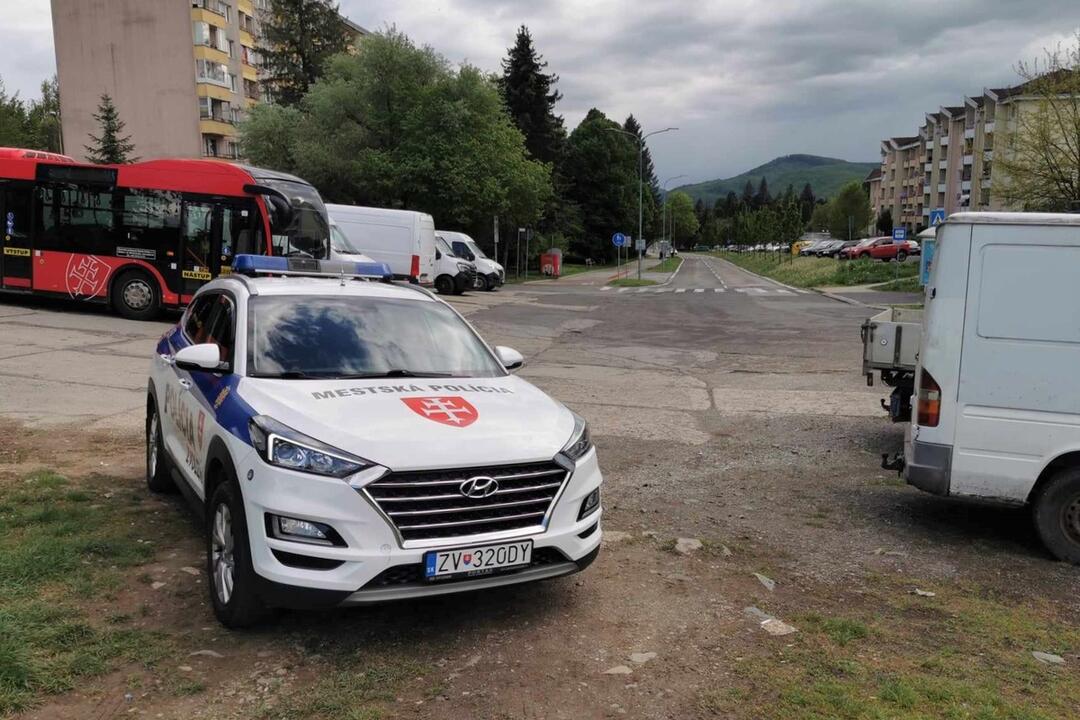 FOTO: Medveď hnedý na zvolenskom sídlisku. Situáciu monitorujú odborníci., foto 2