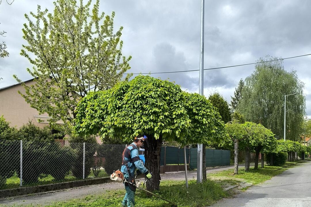 FOTO: Ruku k dielu pri údržbe mesta priložia opäť aj odsúdení, foto 4