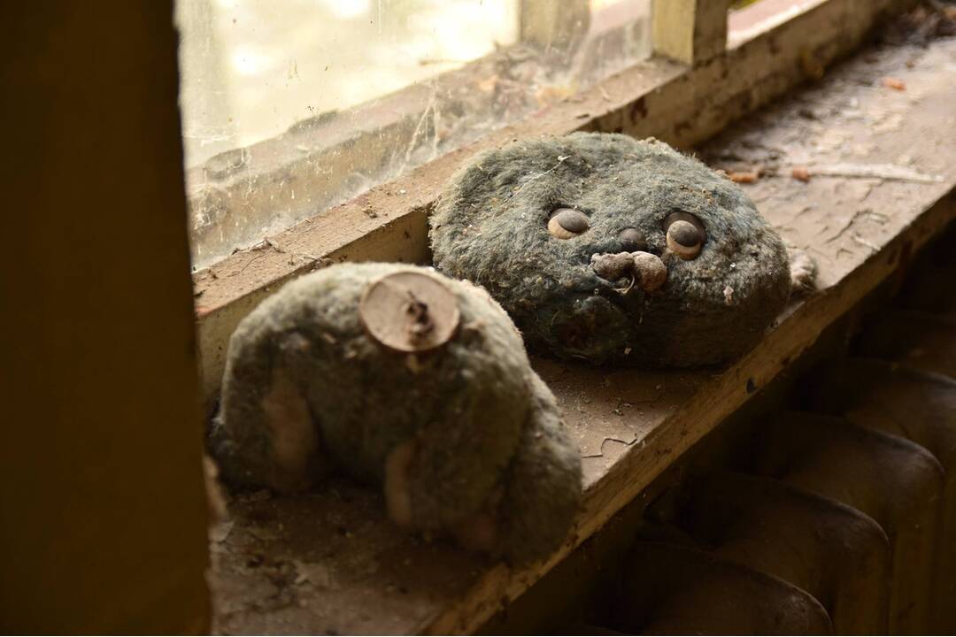 FOTO: Mestá duchov Černobyľ a Pripjať, foto 117