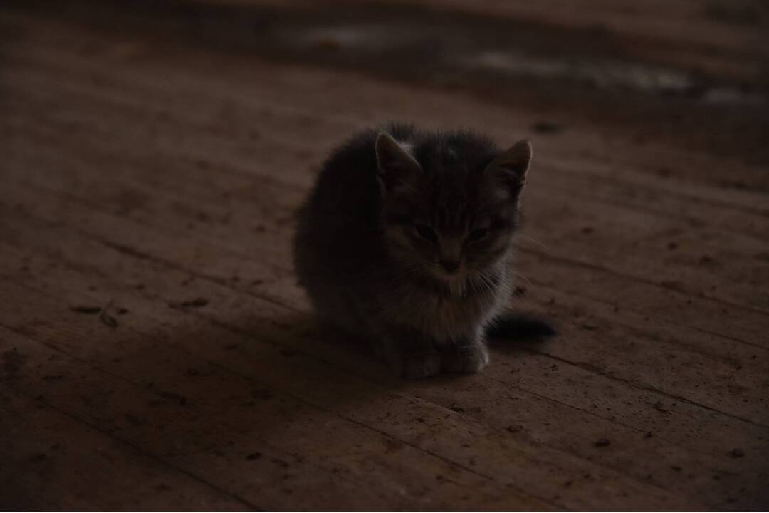 FOTO: Mestá duchov Černobyľ a Pripjať, foto 239