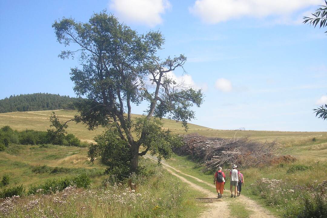 FOTO: Výstup na Zlatý vrch so sprievodcom, foto 3