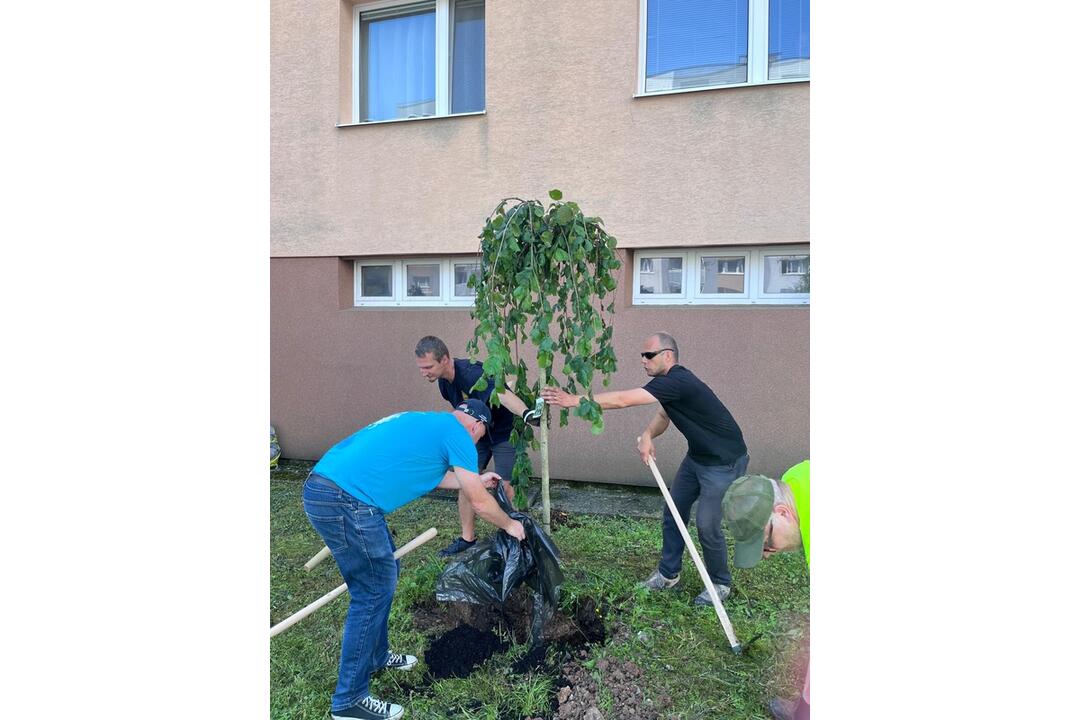 FOTO: Deň životného prostredia pod Urpínom oslávili výsadbou, foto 5