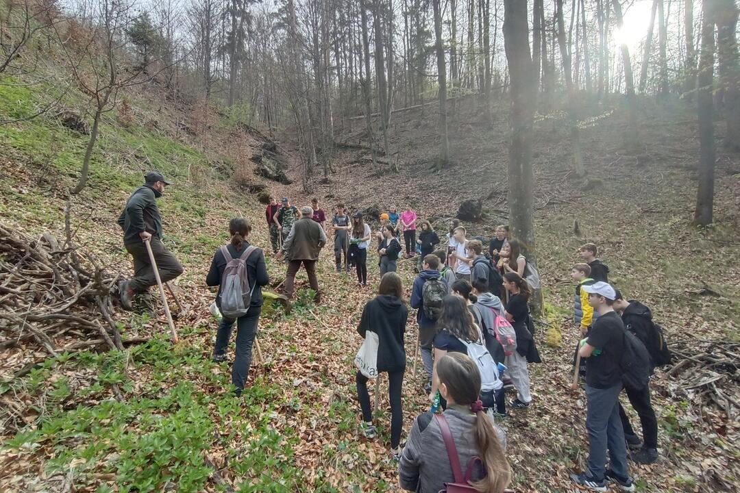 FOTO: Ako prebieha lesná pedagogika? Žiaci vymenili školskú triedu za les, foto 2