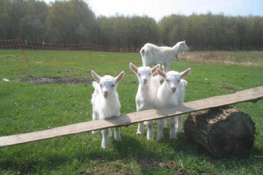 FOTO: Kempové miesta v Banskobystrickom kraji, foto 3