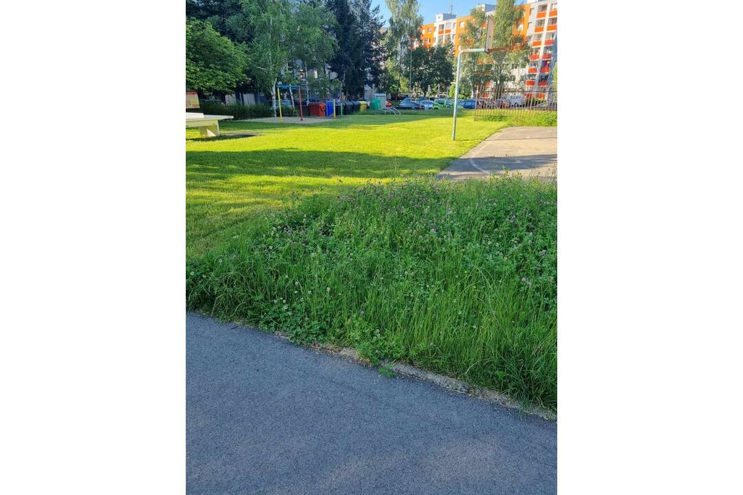 FOTO: Pokosené aj nepokosené priestory v okolí ihriska, foto 3