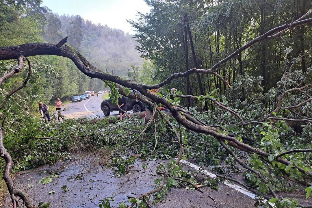 FOTO: Intenzívne búrky spôsobili pri Kozelníku veľké škody, foto 3