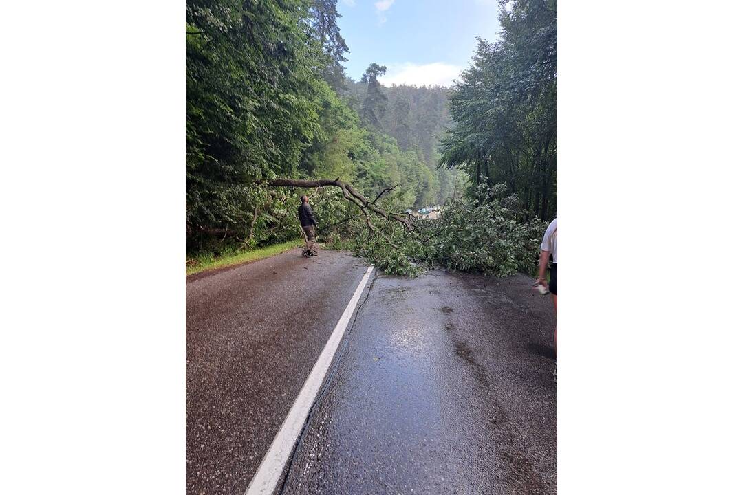 FOTO: Intenzívne búrky spôsobili pri Kozelníku veľké škody, foto 8