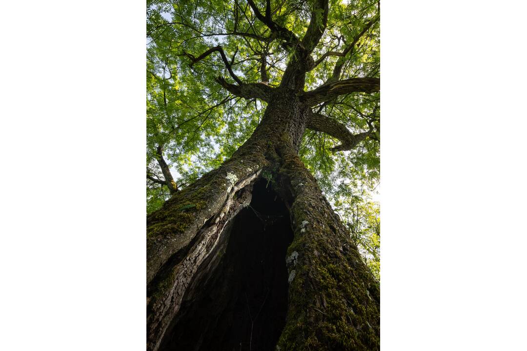 FOTO: Finalisti z Banskobystrického kraja, foto 1