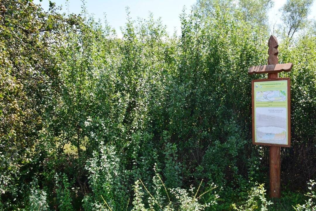 FOTO: Typy na víkendový výlet, foto 3