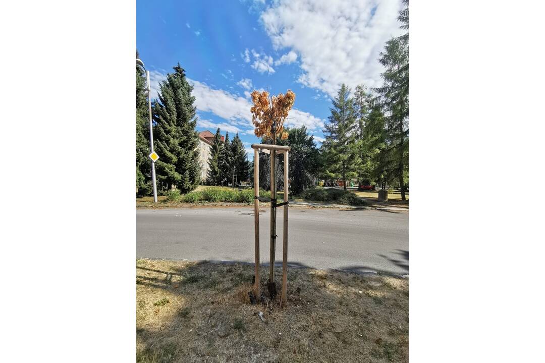 FOTO: Situácia v Banskej Bystrici počas letných dní, foto 4