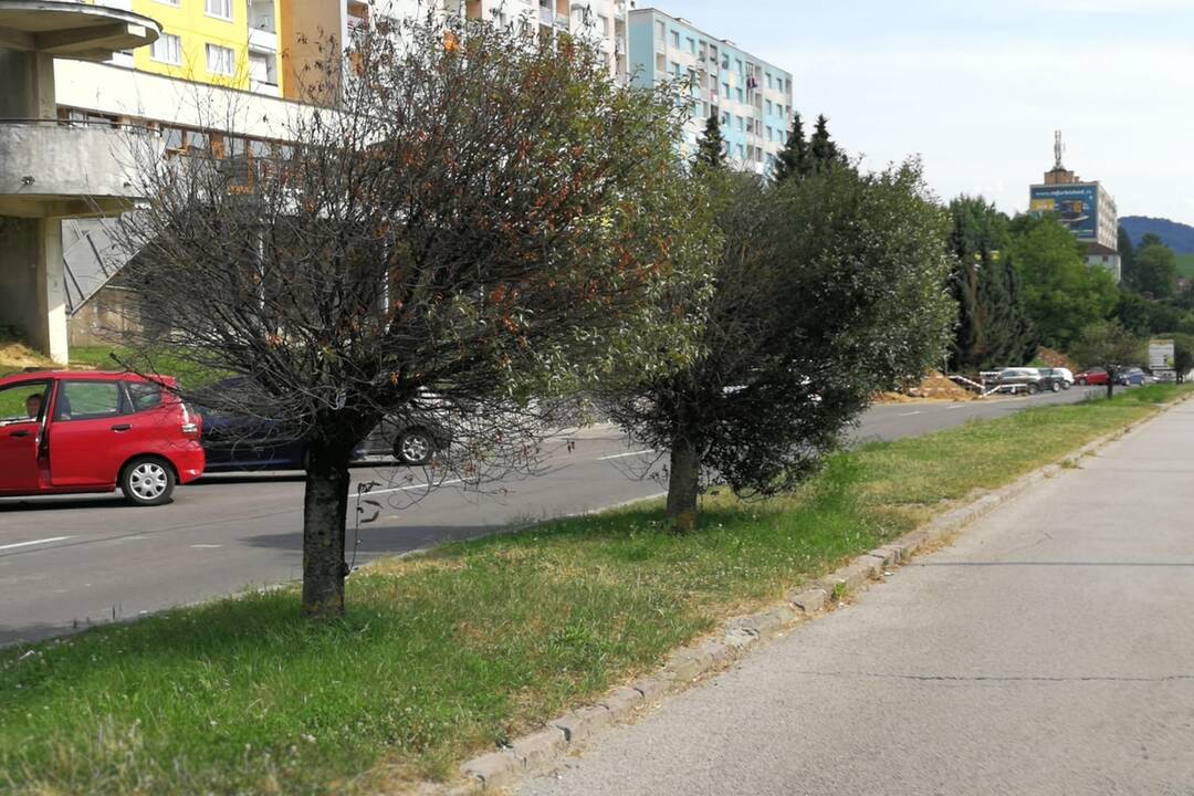 FOTO: Situácia v Banskej Bystrici počas letných dní, foto 5