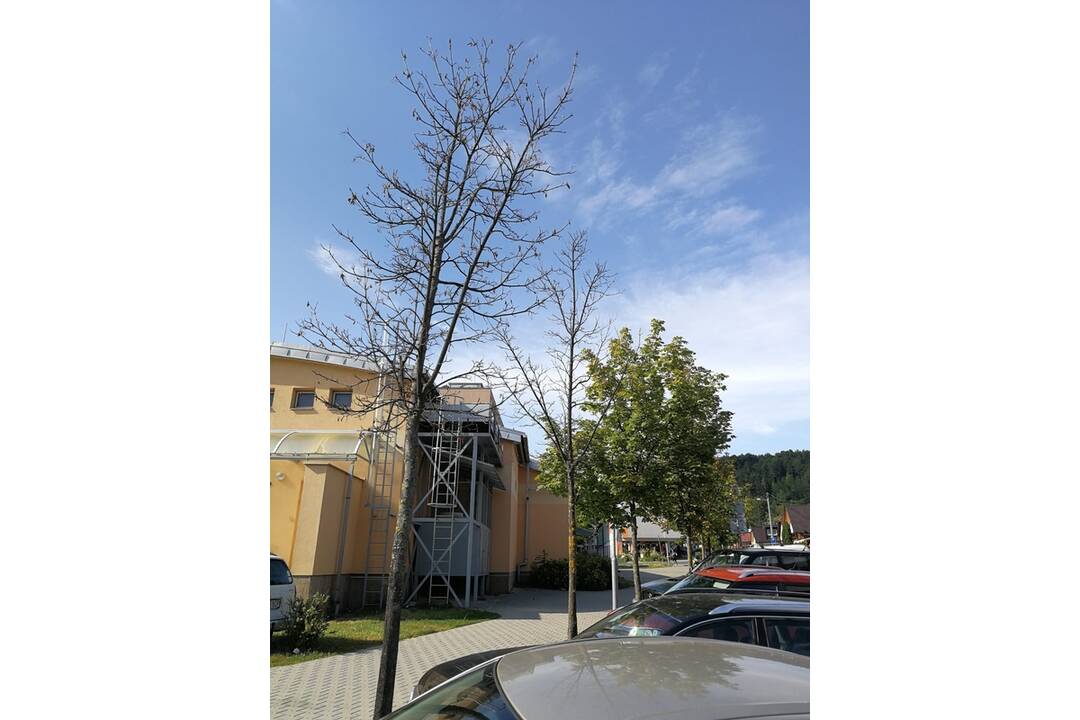 FOTO: Situácia v Banskej Bystrici počas letných dní, foto 8