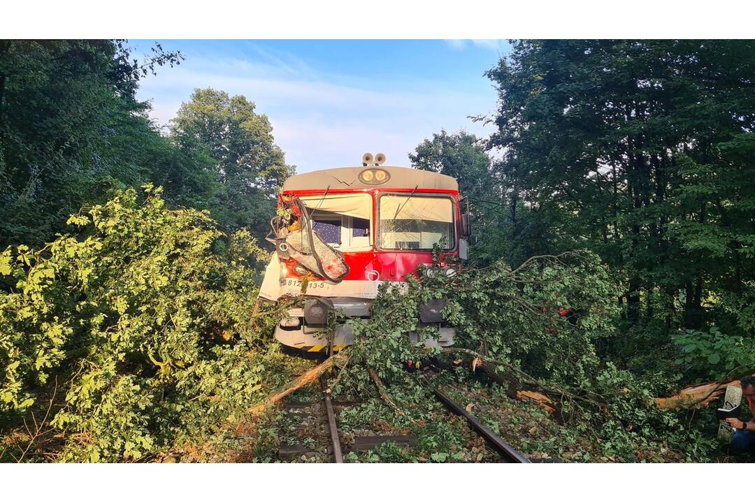 FOTO: Na vlak pri Trnavej Hore spadol strom. Rušňovodič utrpel poranenie hrudníka, foto 3