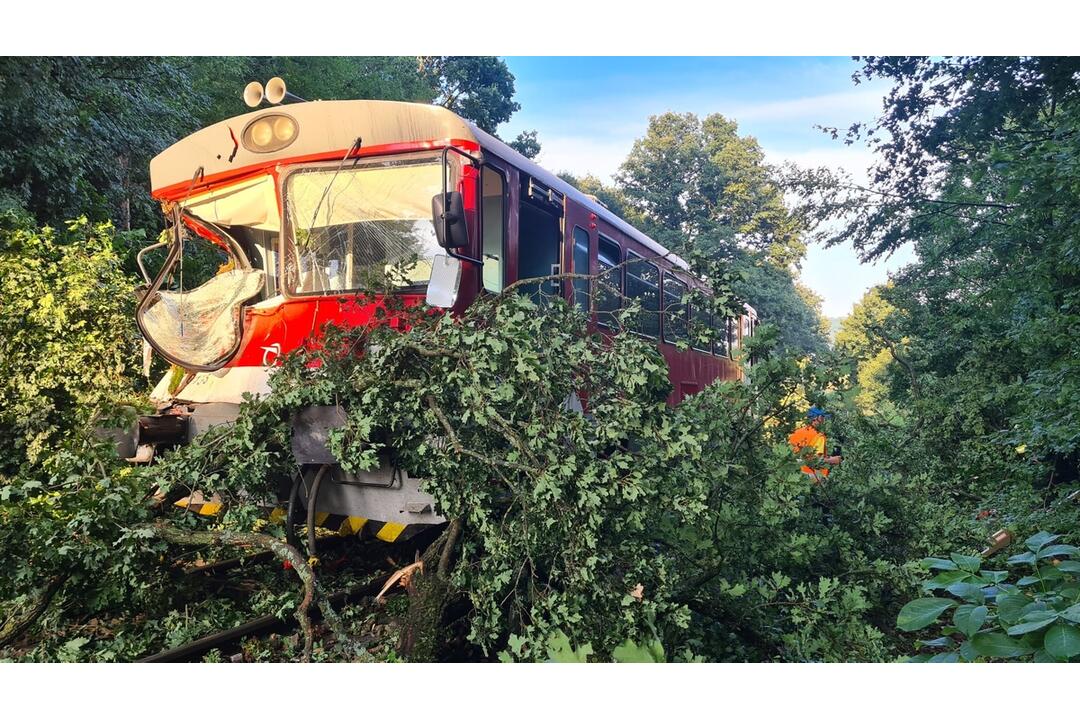 FOTO: Na vlak pri Trnavej Hore spadol strom. Rušňovodič utrpel poranenie hrudníka, foto 5