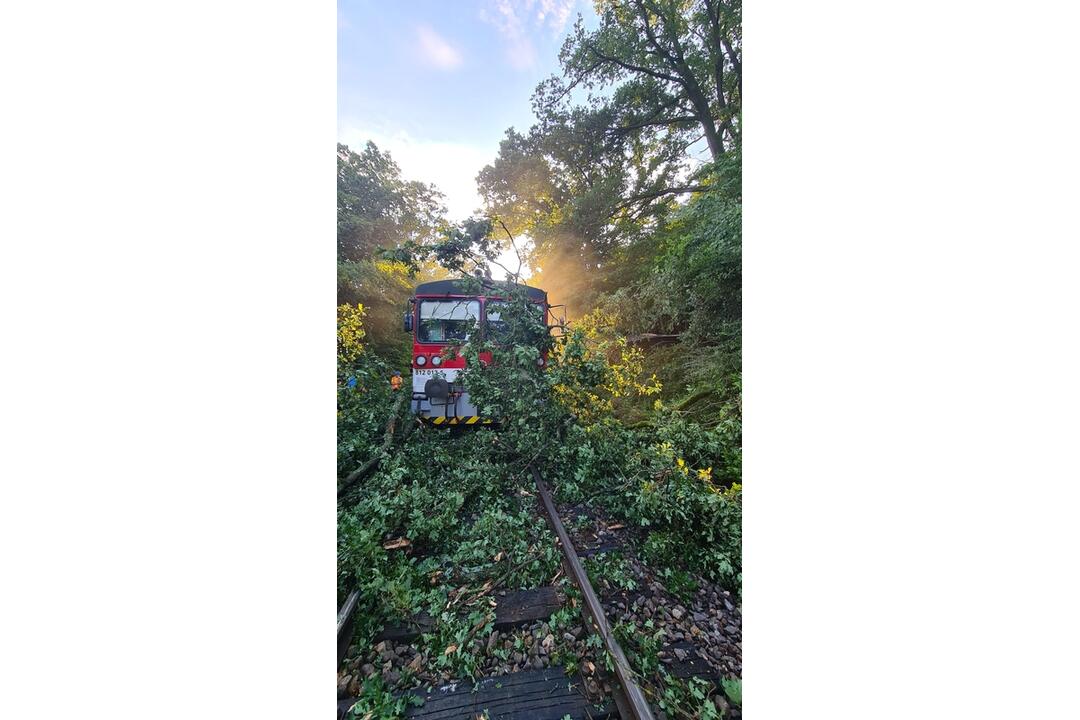 FOTO: Na vlak pri Trnavej Hore spadol strom. Rušňovodič utrpel poranenie hrudníka, foto 8