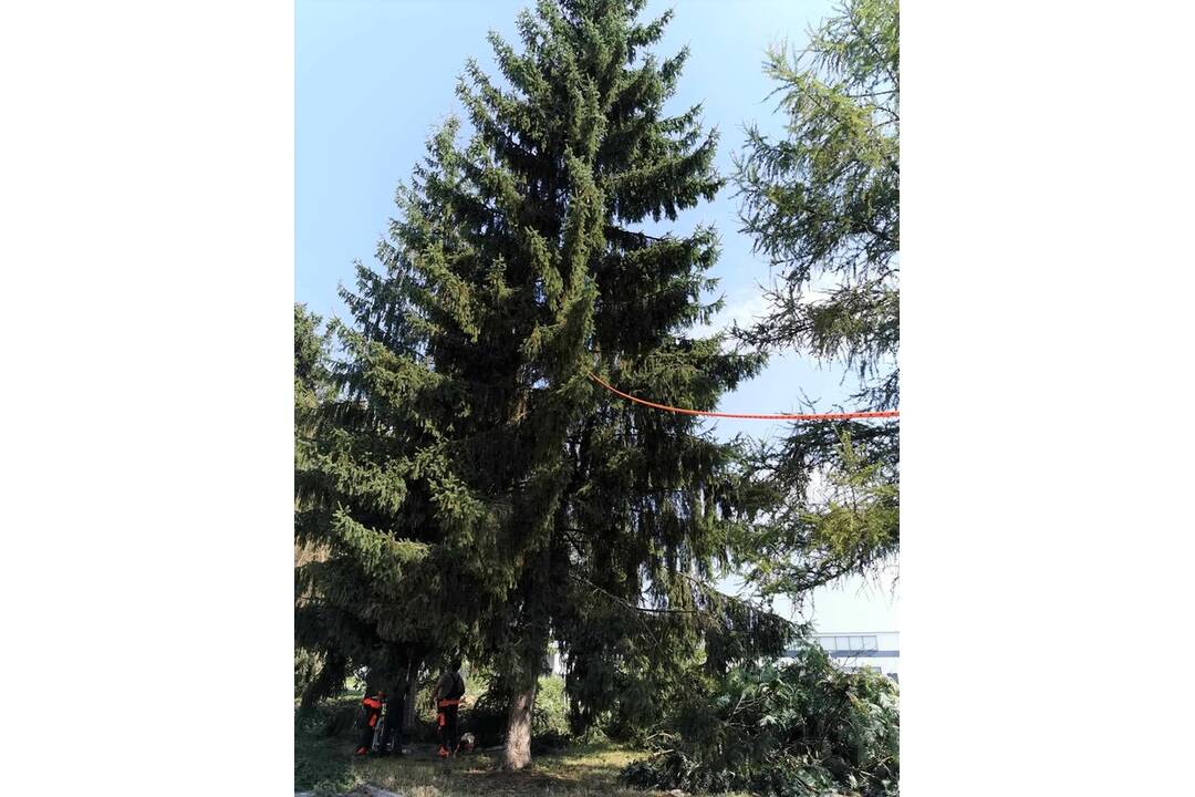 FOTO: Škody spôsobené búrkou , foto 3