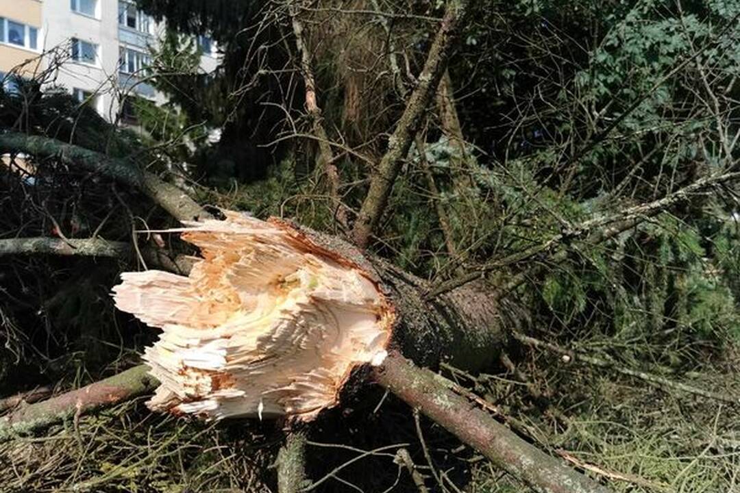 FOTO: Škody spôsobené búrkou , foto 4