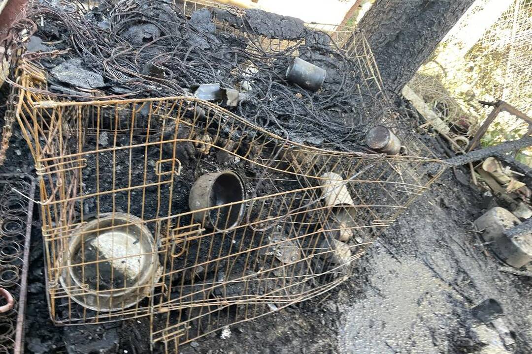 FOTO: Neprijateľný stav útulku v Hontianskych Moravciach, foto 24