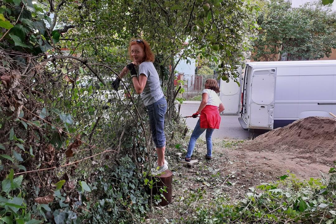 FOTO: Komunitná záhrada Poľná prechádza úžasnou zmenou. Sú za tým iniciatívni Radvančania, foto 8