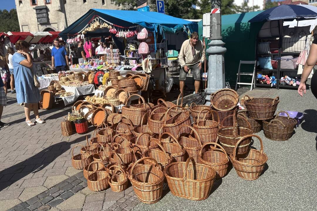 FOTO: Janu a Ladislava môžete stretnúť na Radvanskom jarmoku, foto 1