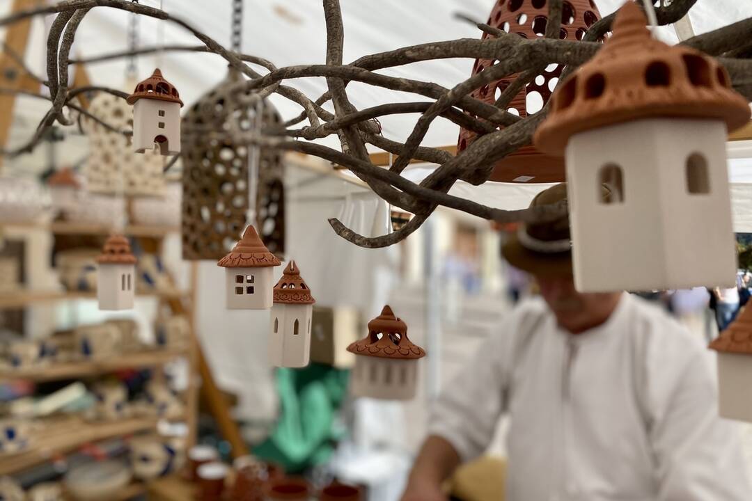 FOTO: Janu a Ladislava môžete stretnúť na Radvanskom jarmoku, foto 3