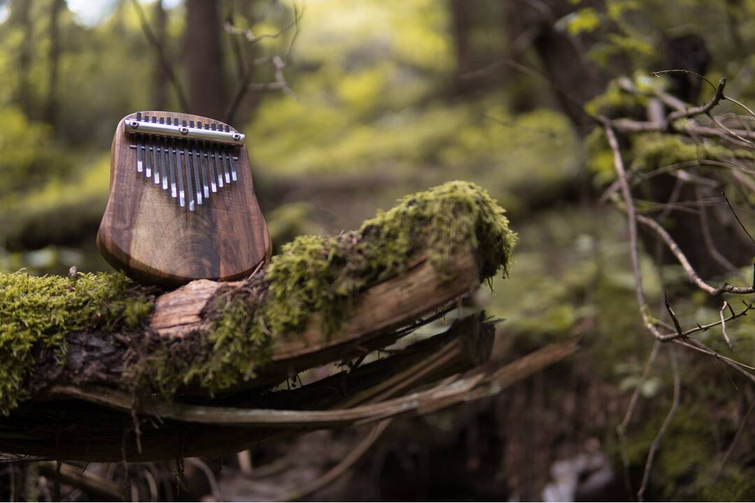 FOTO: Netradičný nástroj - Kalimba, foto 2