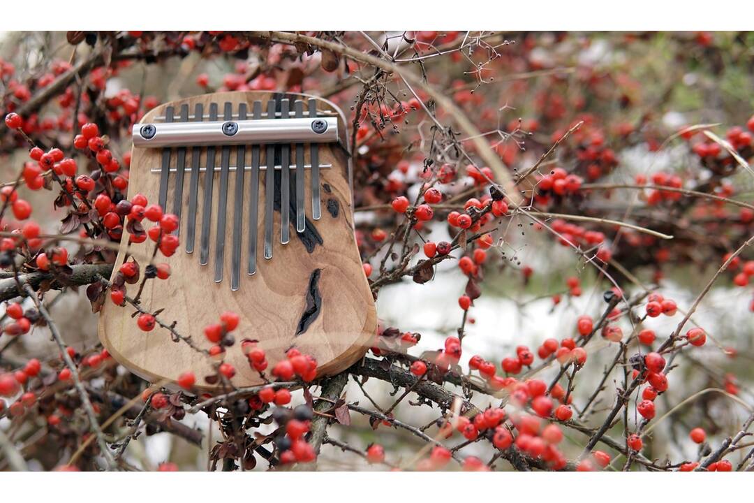 FOTO: Netradičný nástroj - Kalimba, foto 5