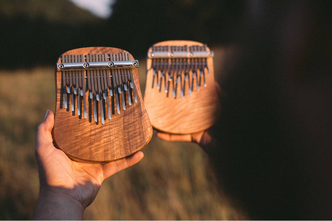 FOTO: Netradičný nástroj - Kalimba, foto 6