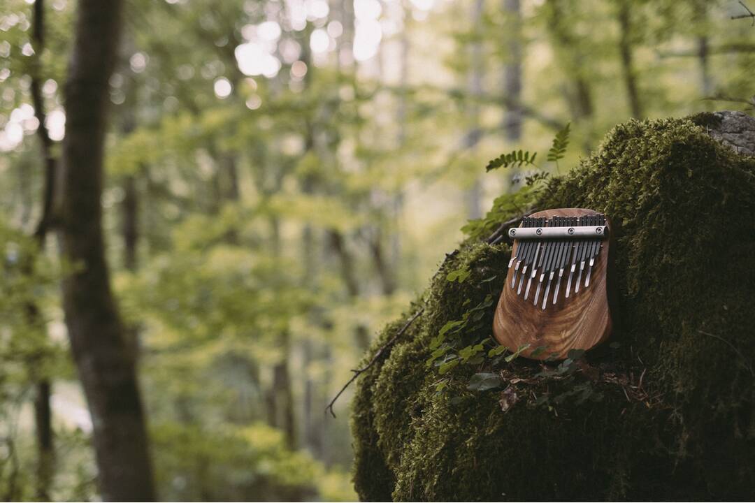 FOTO: Netradičný nástroj - Kalimba, foto 7