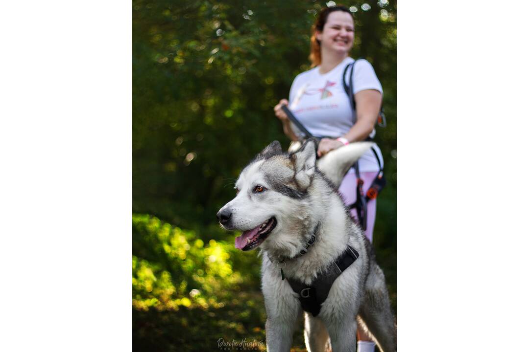 FOTO: Minulý ročník preteku Odvážne labky, foto 2