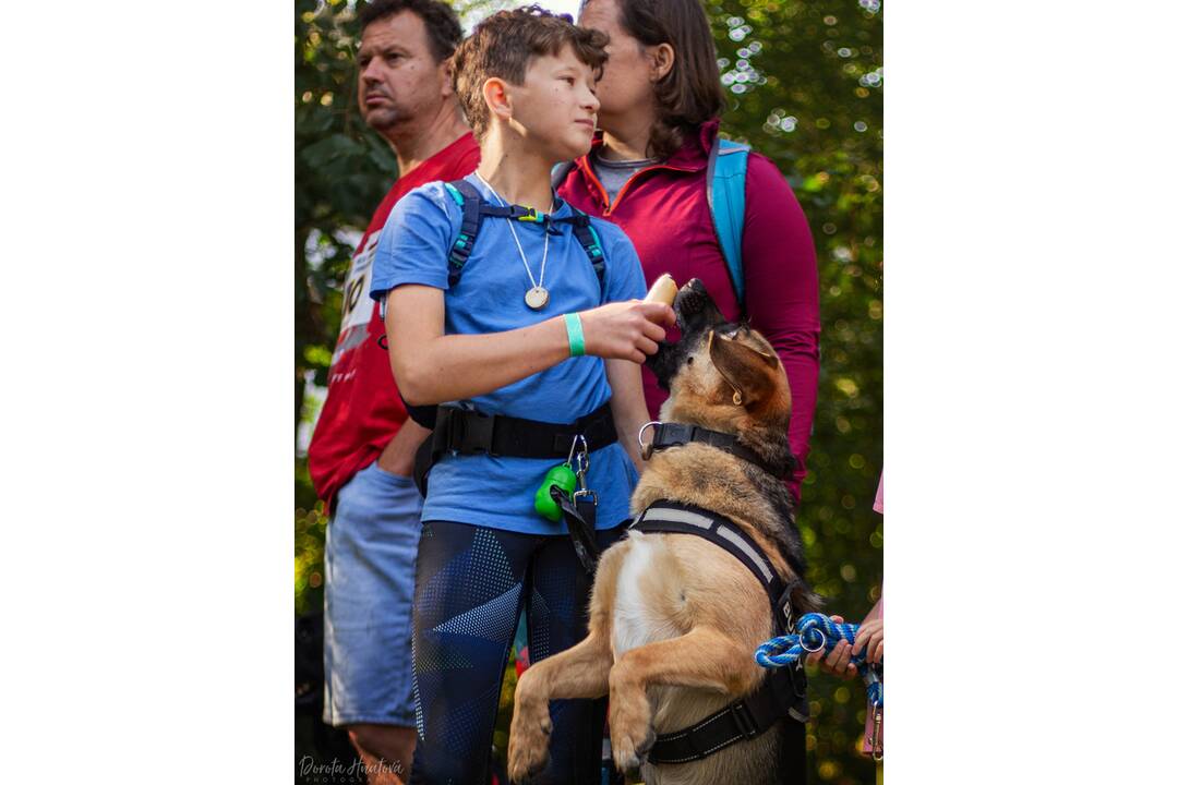 FOTO: Minulý ročník preteku Odvážne labky, foto 3