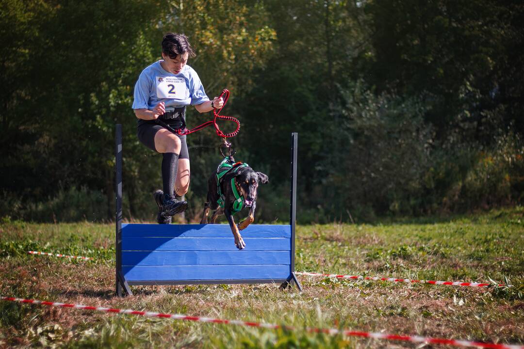 FOTO: Minulý ročník preteku Odvážne labky, foto 4