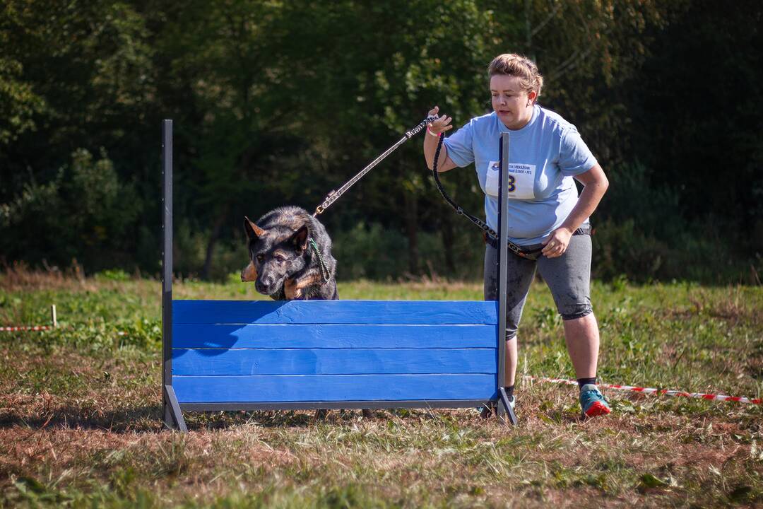 FOTO: Minulý ročník preteku Odvážne labky, foto 5