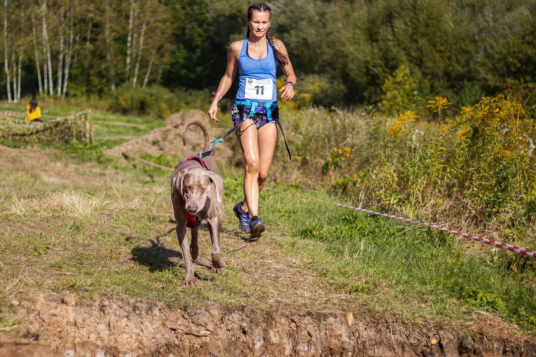 FOTO: Minulý ročník preteku Odvážne labky, foto 7