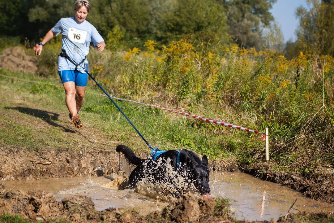 FOTO: Minulý ročník preteku Odvážne labky, foto 8