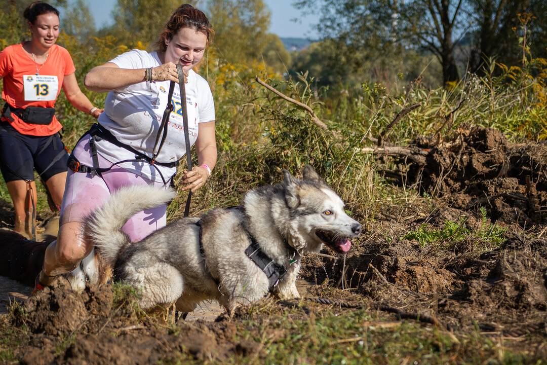 FOTO: Minulý ročník preteku Odvážne labky, foto 10