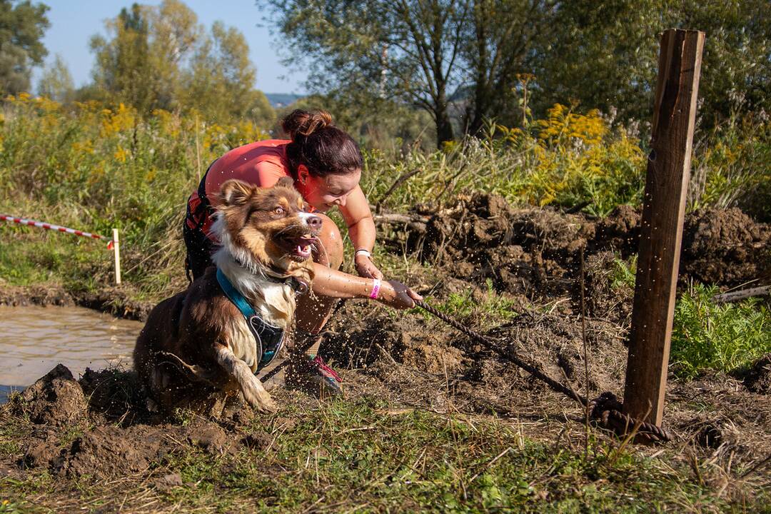 FOTO: Minulý ročník preteku Odvážne labky, foto 11